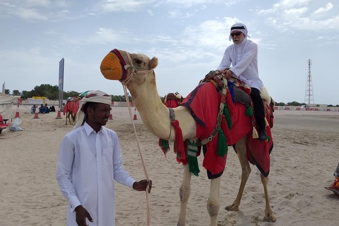 Qatar Gold Dune Safari, Dune Bashing,Camel Ride,Sand Boarding,Inland Sea Desert - Tea, water, and the road to Khor al Udaid