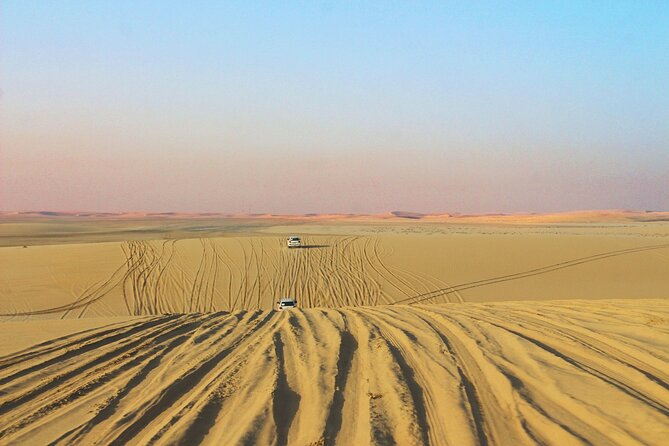 Qatar Gold Dune Safari, Dune Bashing,Camel Ride,Sand Boarding,Inland Sea Desert - Who should book this desert safari?