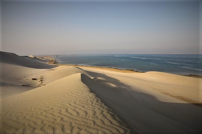 Qatar Gold Dune Safari, Dune Bashing,Camel Ride,Sand Boarding,Inland Sea Desert - Sandboarding on the golden dunes