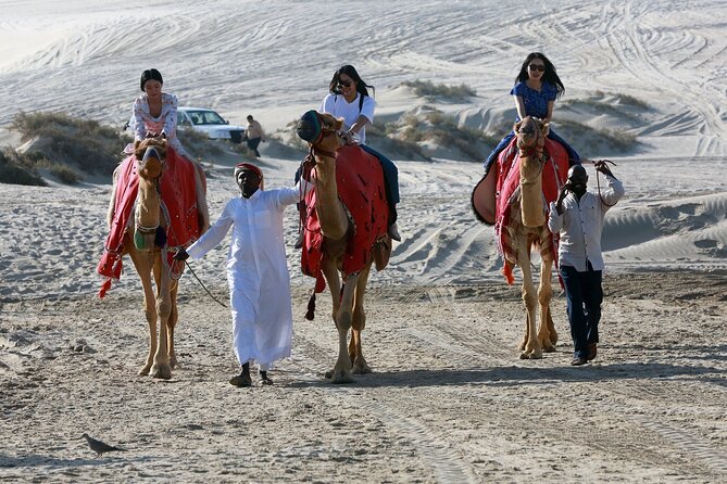 Qatar Half Day Desert Safari(Camel Rides & Sandboarding) - Camel riding at Al Majles Resort