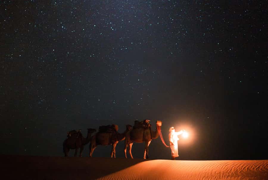 Qatar: Night Desert Safari| Camel Ride| Inland Sea Beach - From Doha to the Mesaieed sands