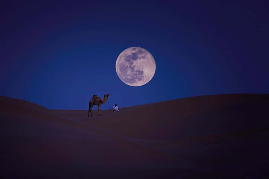Qatar: Night Desert Safari| Camel Ride| Inland Sea Beach - Dune bashing on the way to the Inland Sea