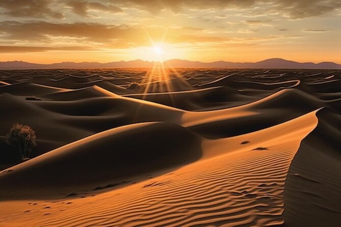 Qatar: Sunrise or Sunset Desert Tour in Doha, unforgettable trip - What the $87.50 price includes