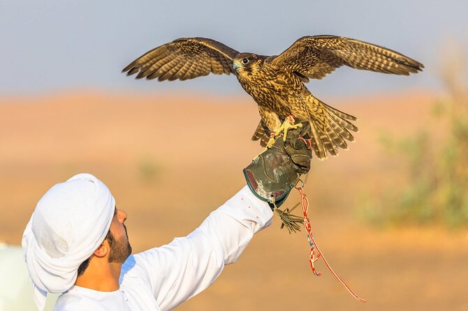 Qatar: Sunrise or Sunset Desert Tour in Doha, unforgettable trip - The guide and the feel of a private outing