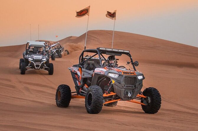 Qatar: Sunrise or Sunset Desert Tour in Doha, unforgettable trip - Who will enjoy this tour most?