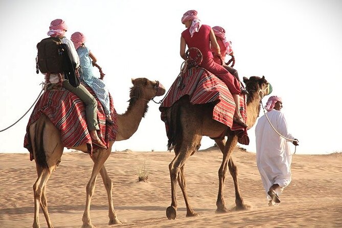 Qatar Sunset Desert Safari: Dune Bashing & Golden Sands Adventure - Leaving Doha at 3 pm for the open desert
