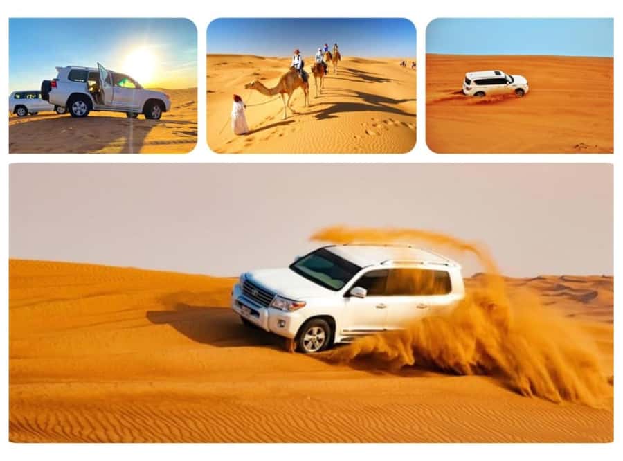 Qatar: Sunset Desert Safari with Camel Ride & Sandboarding - Guides, communication, and the human side
