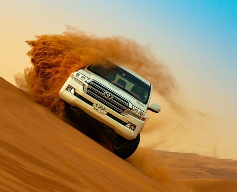 Qatar: Sunset Desert Safari with Camel Ride & Sandboarding - Who will enjoy this desert safari most