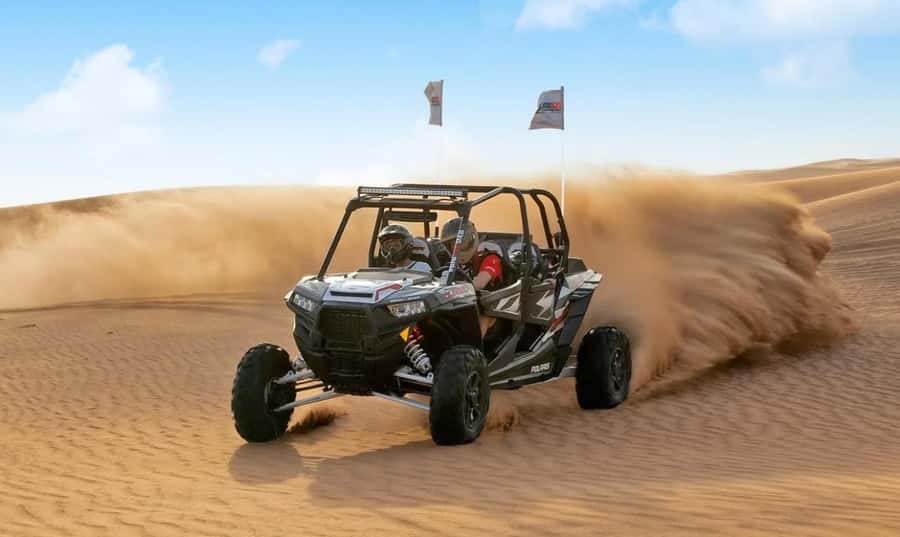 Qatar: Sunset Desert Safari with Camel Ride & Sandboarding - Practical preparation for a dusty, active afternoon