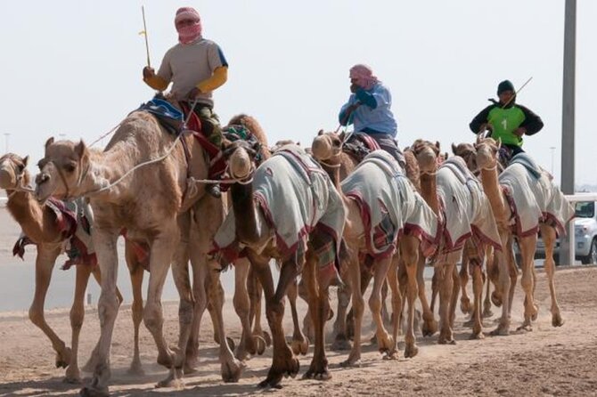Qatar West Coast Zkreet Richard Sierra Camel Track Rock Formation - Al Shahaniya and the sight of Qatar’s racing camels