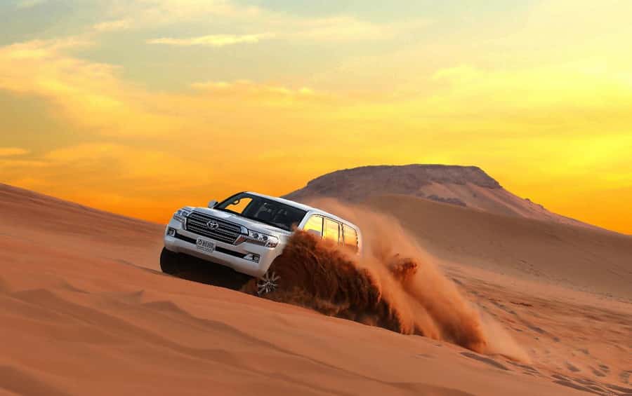 Quad Bike/Buggy, Desert Safari, Camel Ride, Dune Bashing - Key points to know before you go