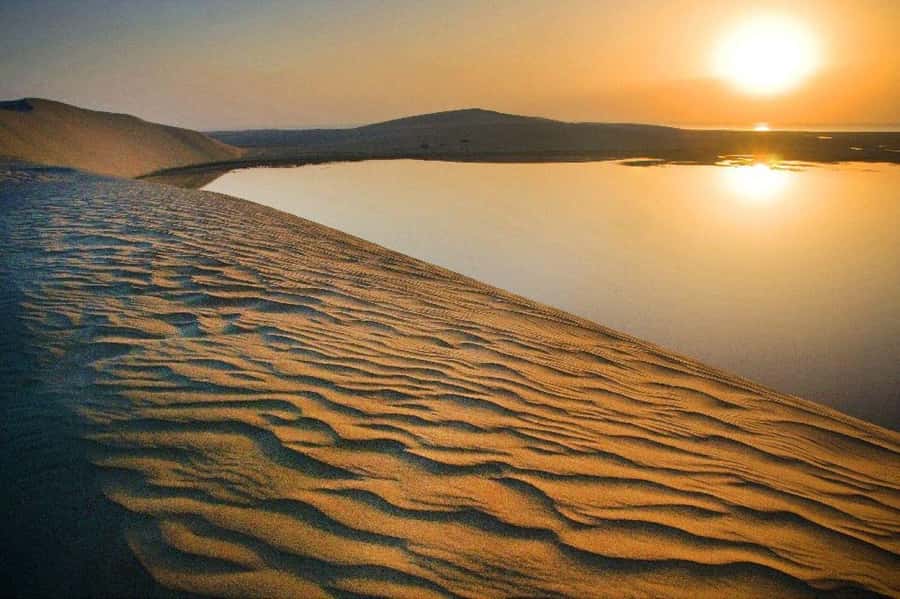 Relax Desert Safari, Sand Dune Bashing (Private Safari) - From Doha roads to open desert