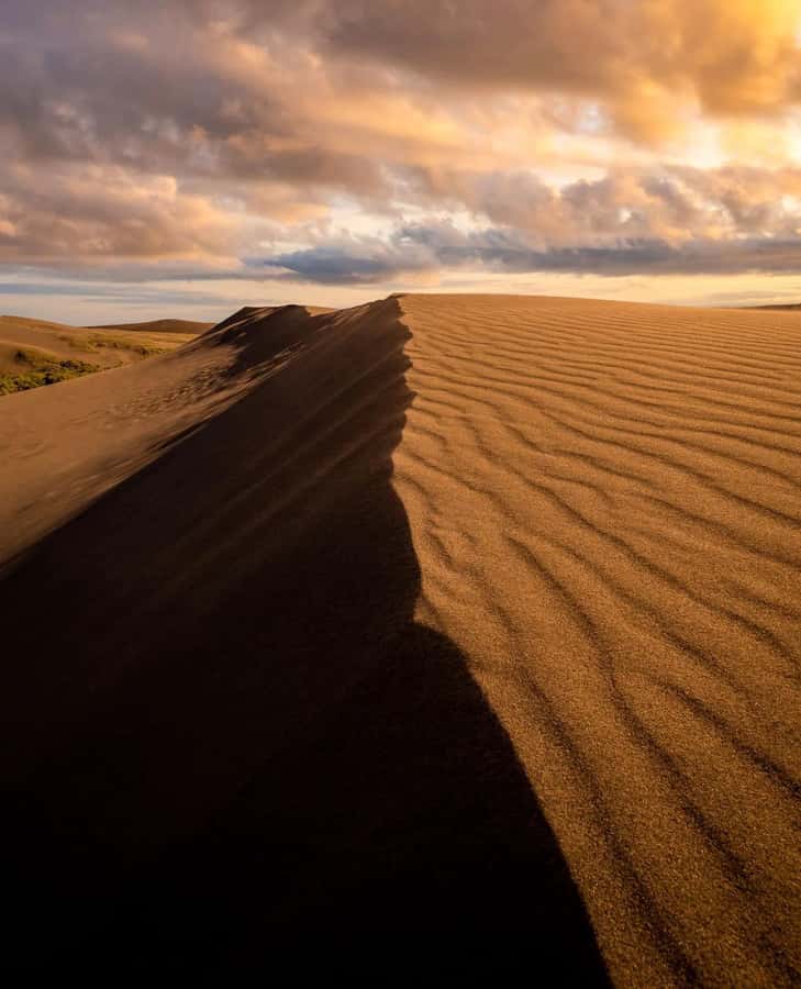 Relax Inland Sea Tour, Desert Safari, Camel Ride, SandBoard - Camel Riding: Short, Simple, and Traditional