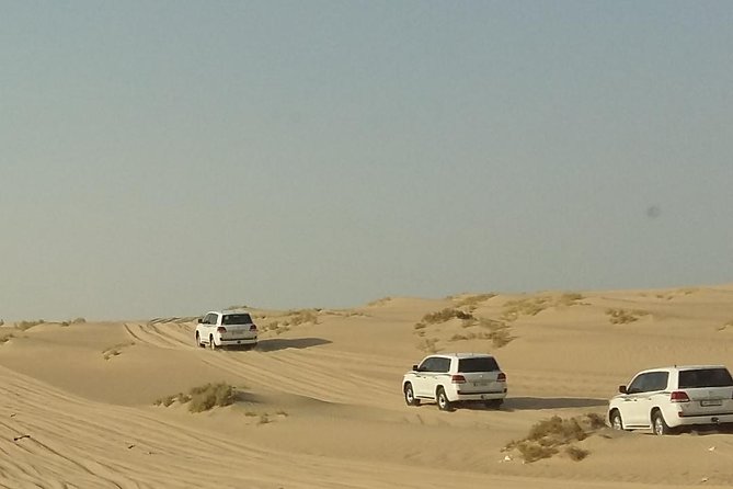 Sharing or Private Safari, Sand Boarding, Camel Ride, inland Sea Quick swim - From Doha to Mesaieed and Sealine