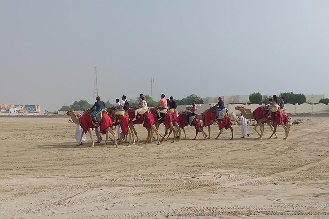 Sharing or Private Safari, Sand Boarding, Camel Ride, inland Sea Quick swim - Reaching Qatar’s Inland Sea