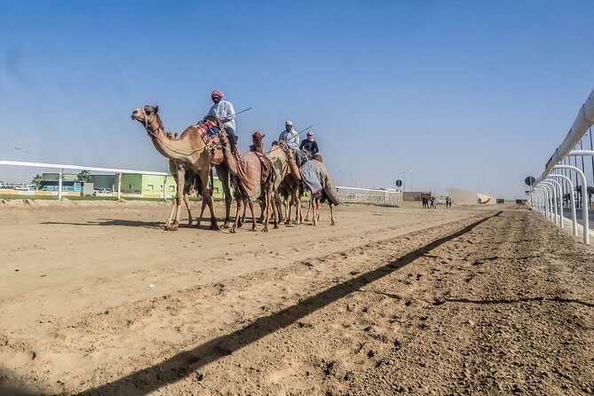 Sheikh Faisal, Camel Race Track visit - What private transportation changes