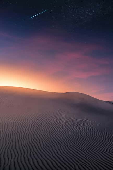 Star Studded Night Desert Safari Doha Qatar - Camel riding with tea or coffee