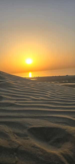 Sunrise or Sunset desert Safari with Sandboarding in Qatar - A sunrise or sunset start in Qatar’s desert