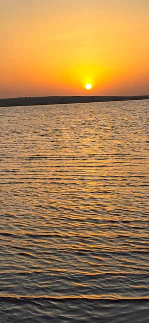Sunrise or Sunset desert Safari with Sandboarding in Qatar - Dune bashing with a calm, capable driver