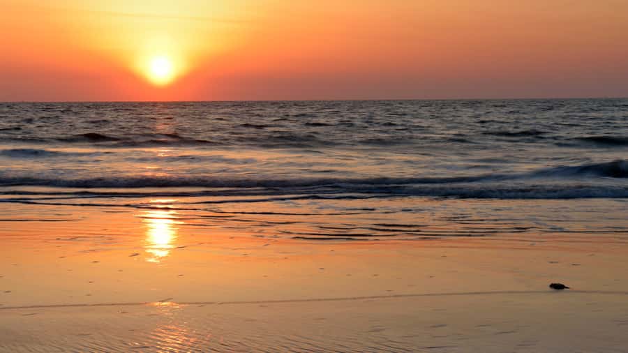 Sunrise : Privare Dune Bashing, Camel Ride & Sandboarding - The Inland Sea and its beach