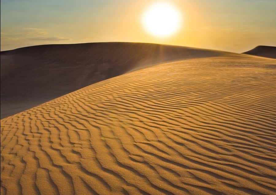 Sunrise : Privare Dune Bashing, Camel Ride & Sandboarding - A 20-minute camel ride at Sealine