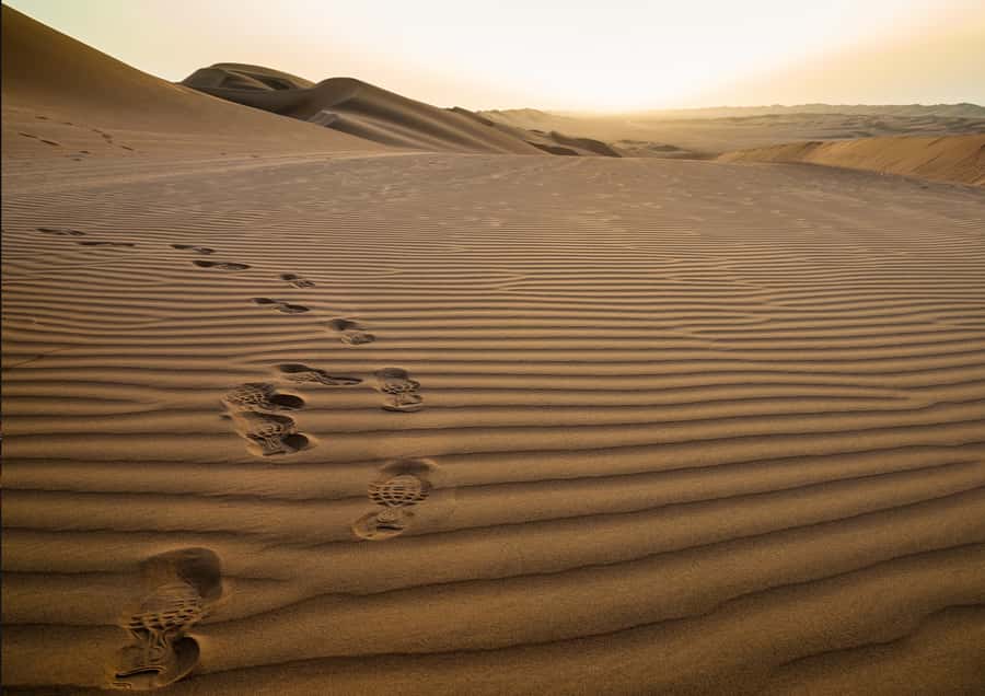 Sunrise : Privare Dune Bashing, Camel Ride & Sandboarding - What the $30 price really buys
