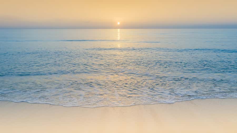 Sunrise : Privare Dune Bashing, Camel Ride & Sandboarding - Private or small group makes a difference