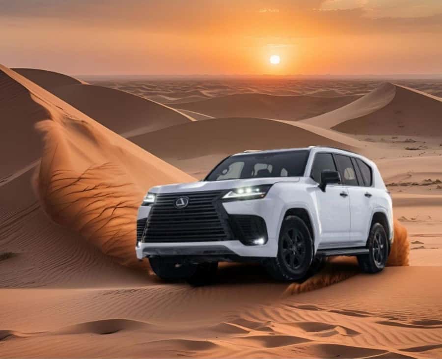 Sunrise/Sunset DuneBashing,CamelRide InlandSea &Sandboarding - Sandboarding on smooth dunes