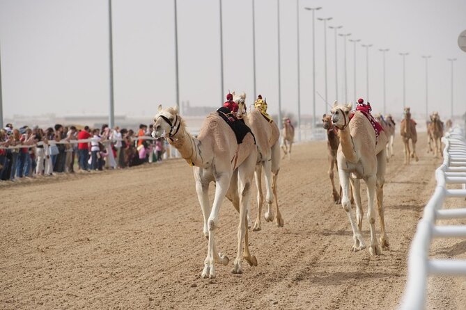 Sunset Keshta at Zekreet | Art, Adventure & Arabian Picnic - Who will enjoy this Zekreet outing most?