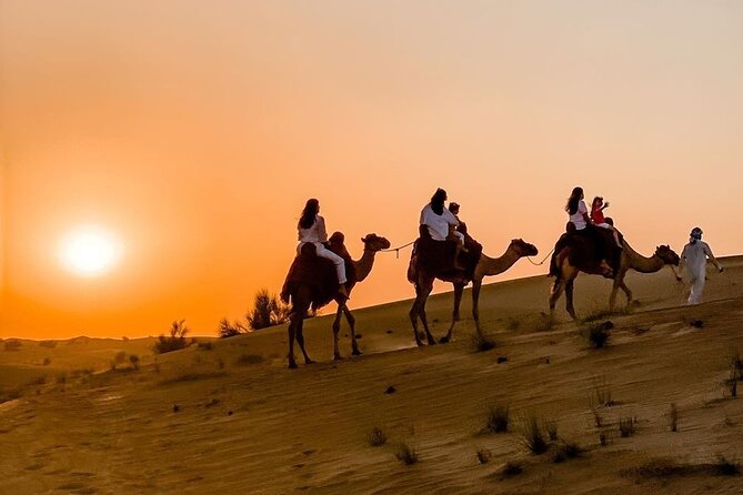 Thrilling 4-Hour Dune Bashing & Camel Ride Safari to Inland Sea - From Doha streets to Qatar’s open desert
