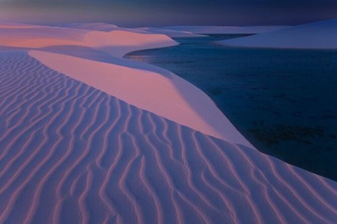 Thrilling 4-Hour Dune Bashing & Camel Ride Safari to Inland Sea - Who should book this desert safari?