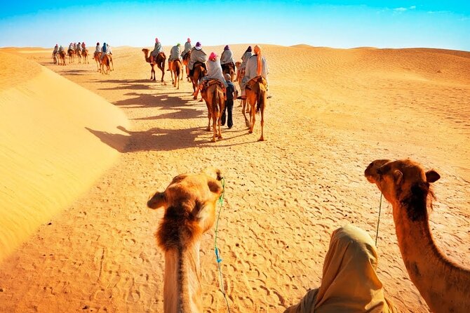 Tranquil Sands A Serene Desert Safari Experience - What $85 per person gets you