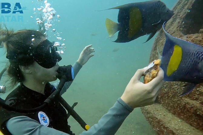 Try Scuba dive in Qatar - What this Qatar scuba session is really like