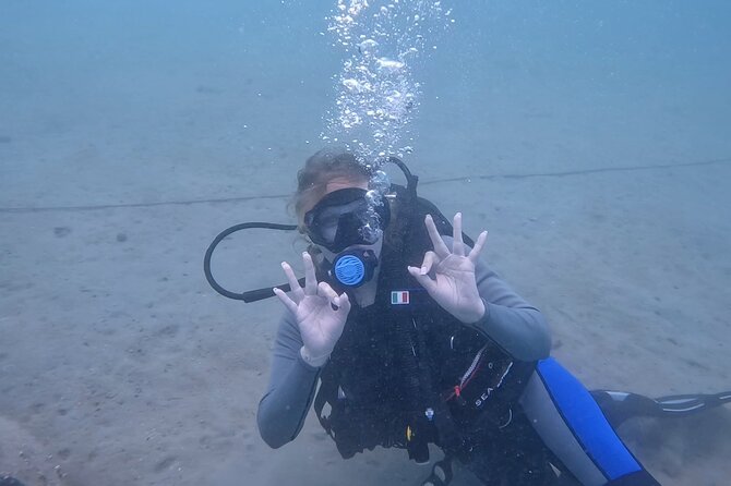 Try Scuba dive in Qatar - Practical booking advice for Sealine Beach