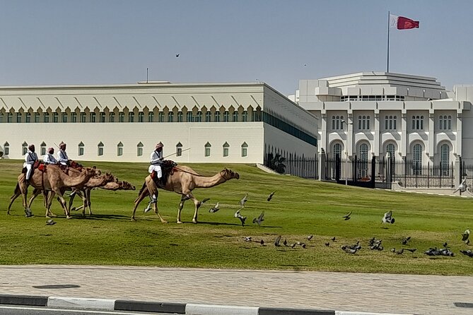 Walking Tour: Discover Souq Waqif, An Almost Free Walking Tour - Why Souq Waqif works so well on foot