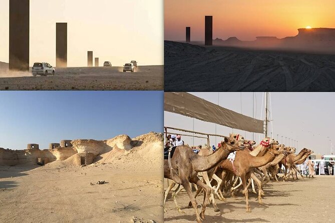 West Coast and Camel Race Track Visit - Key points to know before you book