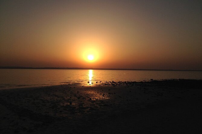 West Coast and Camel Race Track Visit - What I like, and what I would change
