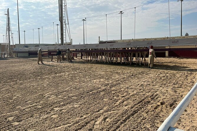 West Of Qatar, Mushroom Rocks, Camel Racing Track, Richard Serra - Richard Serra’s East-West/West-East in open desert