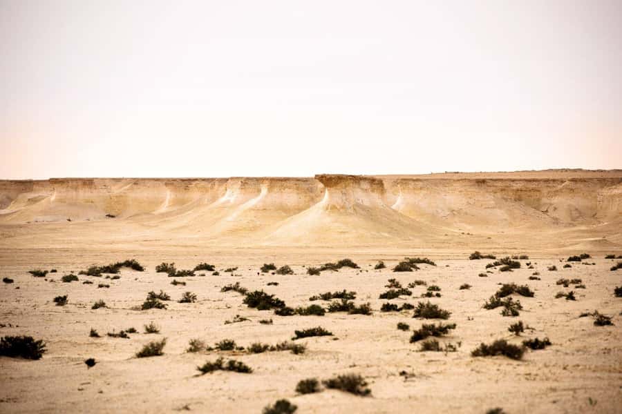 West of Qatar Richard Serra, Mushroom Hills, CamelRace track - Who should book this western Qatar tour
