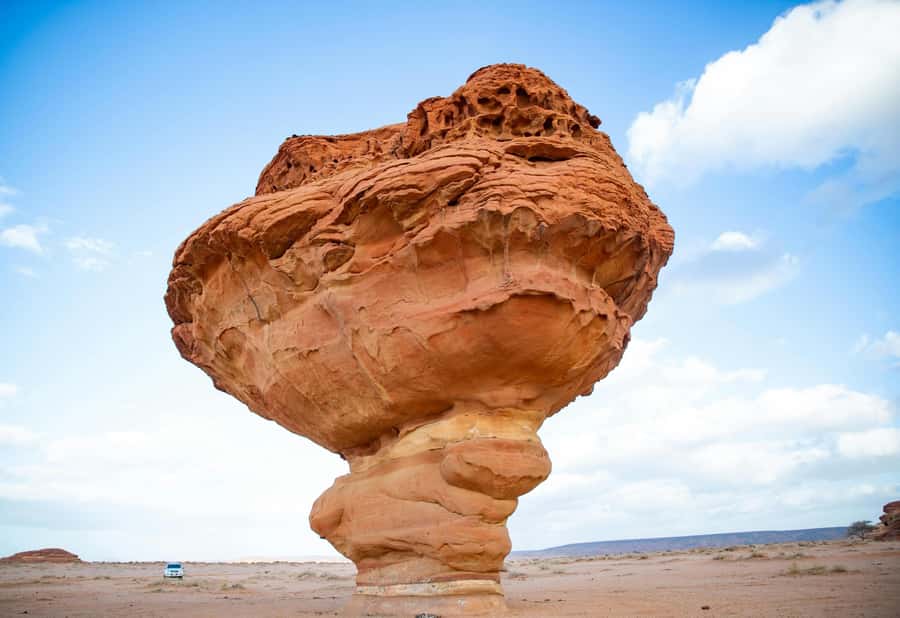 West of Qatar Richard Serra, Mushroom Hills, CamelRace track - Al Shahaniya Camel Racetrack and Qatar’s national sport