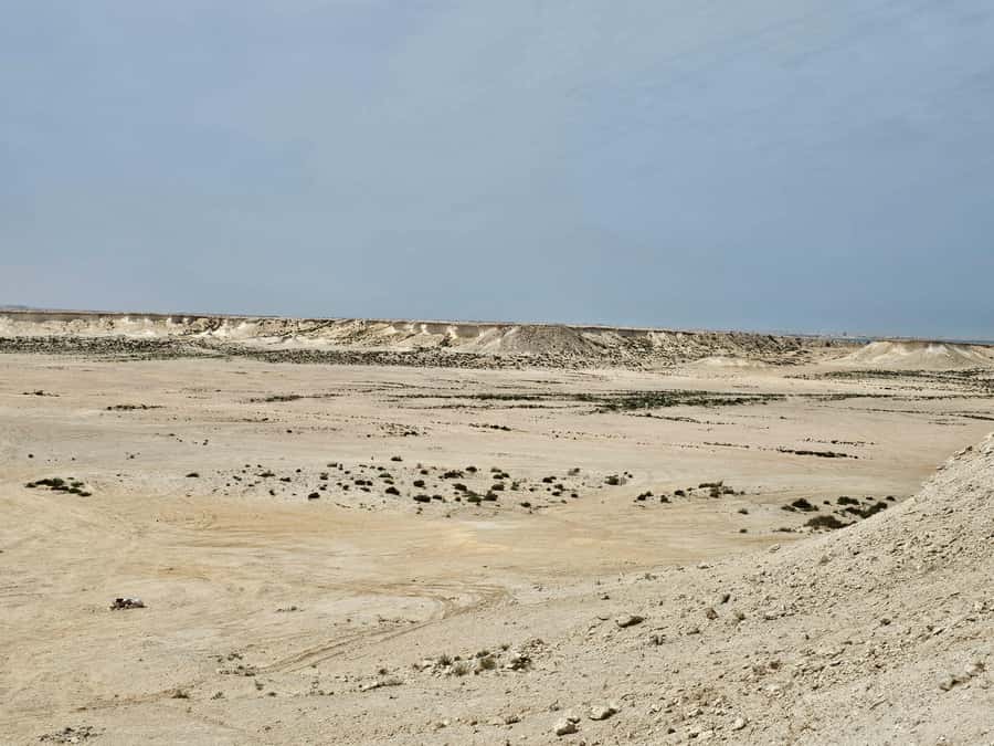 West Qatar-Doha Richard sierra,camel race,mushroom rock - Should you book it?