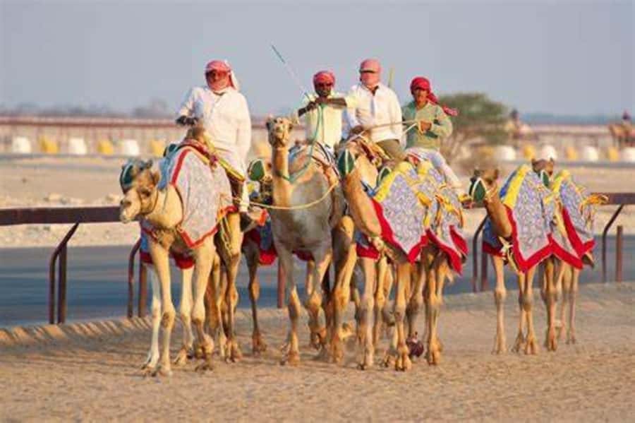West Qatar-Doha Richard sierra,camel race,mushroom rock - Al-Shahaniya camel racetrack, Qatar’s racing heartland